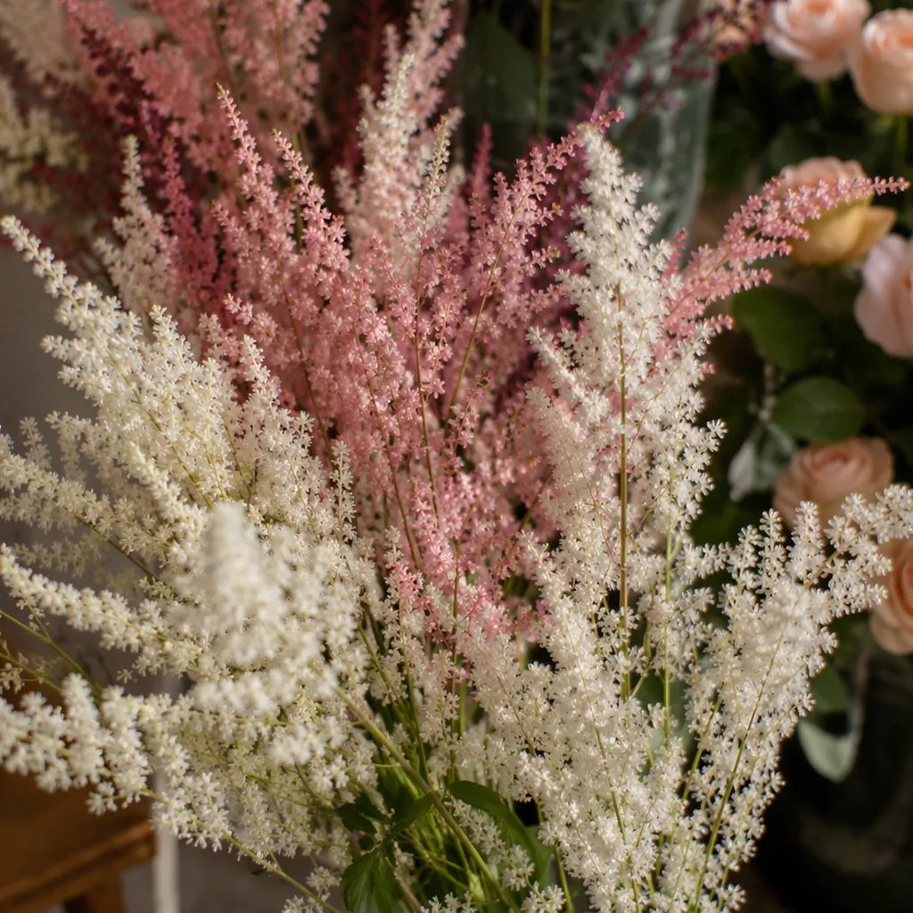 Astilbe Đà Nẵng: bông ngũ sắc mềm rủ cưới tiên nữ 2026 - hình 1