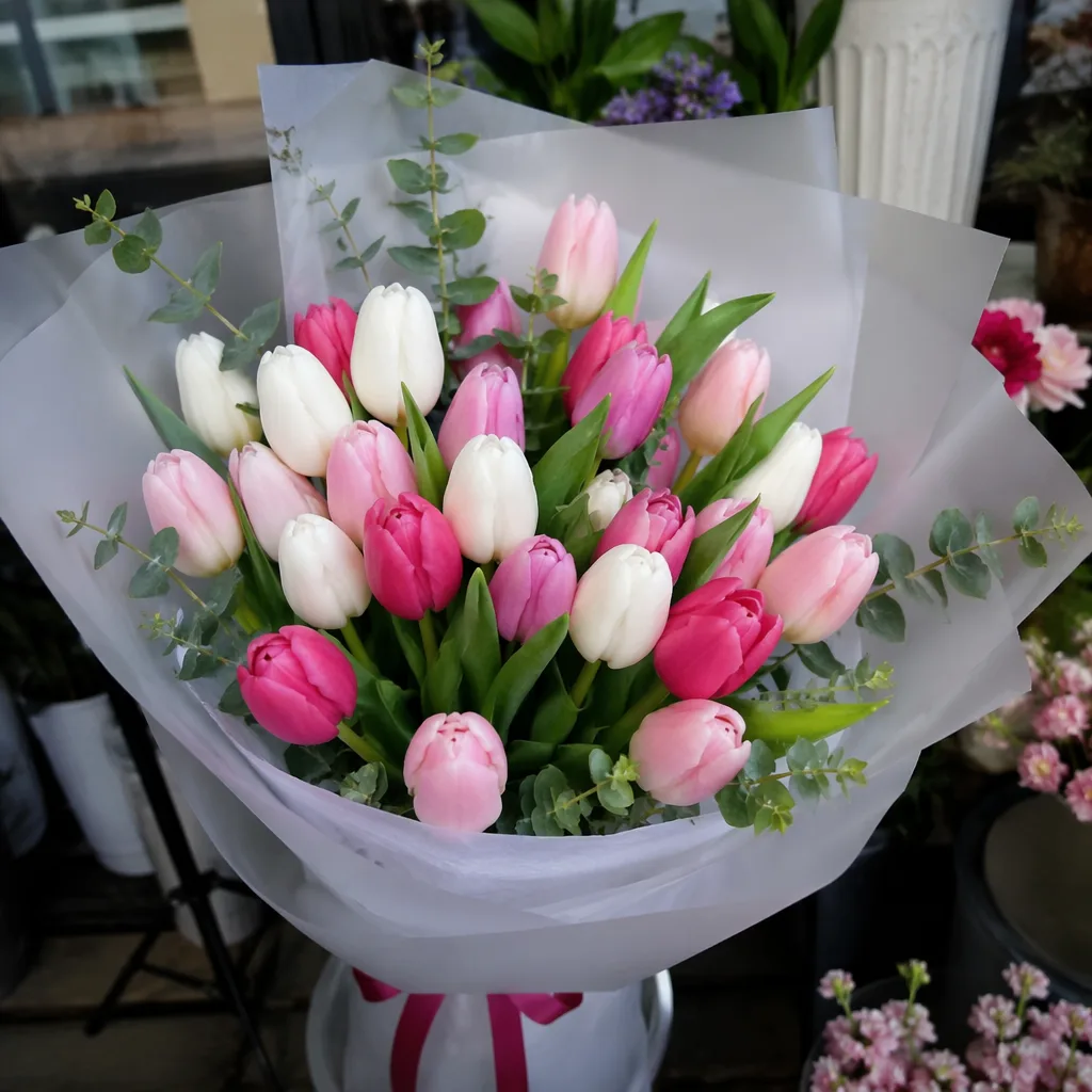Hoa tulip Hà Lan nhập khẩu: Mua ở Đà Nẵng?