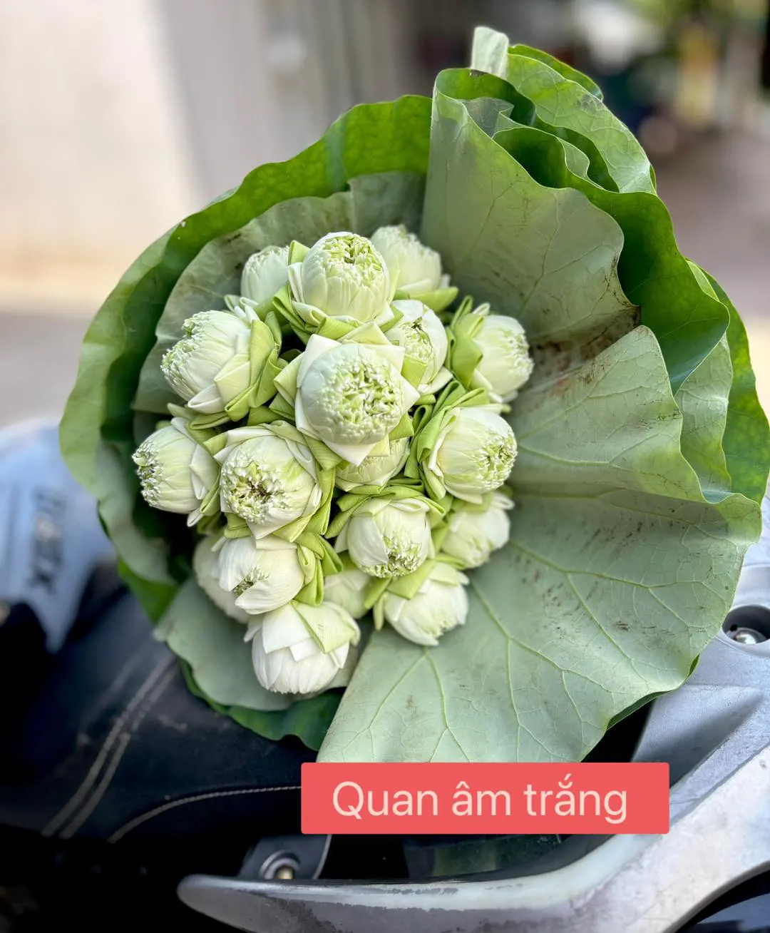 Ảnh 7 của Bó Hoa Hồng Trắng & Cúc Hồng & Hồng - Hoa Tươi
