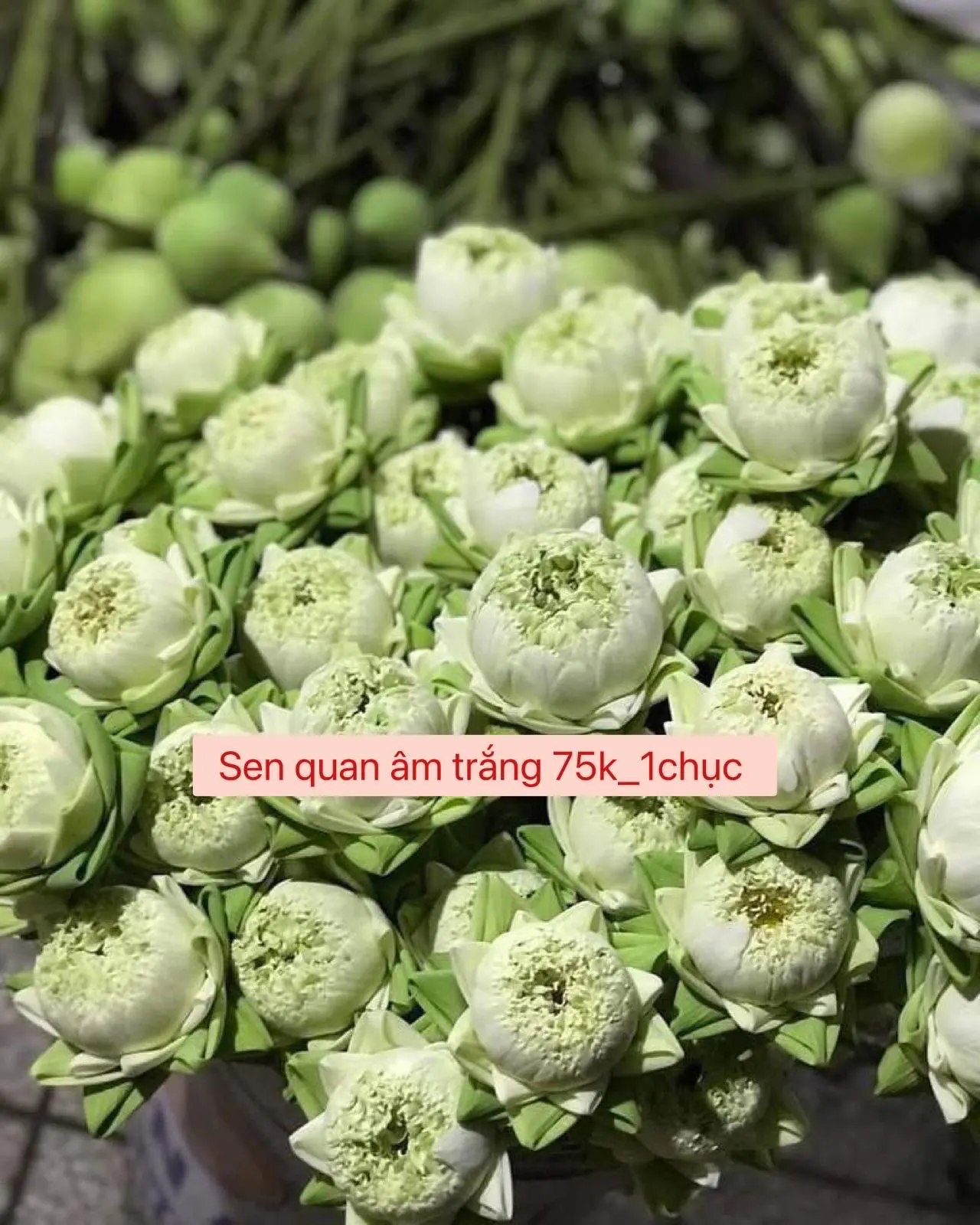 Ảnh 8 của Bó Hoa Hoa Baby & Hướng Dương - Hoa Tươi