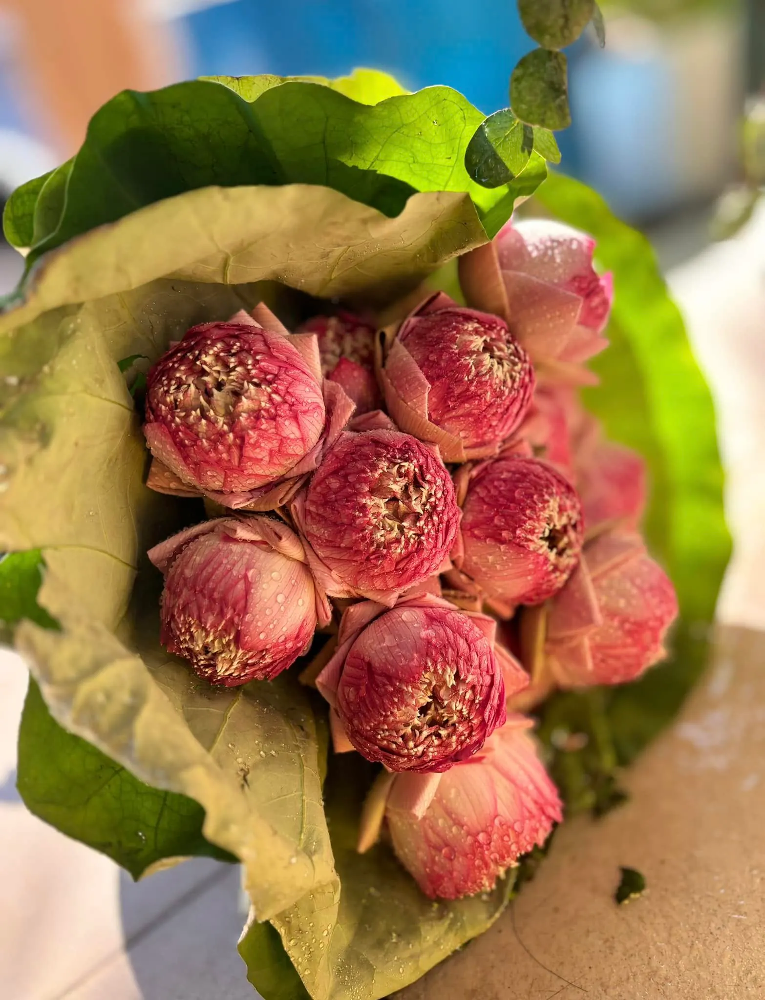 Ảnh 6 của Bó Hoa Hoa Tươi - Hoa Tươi