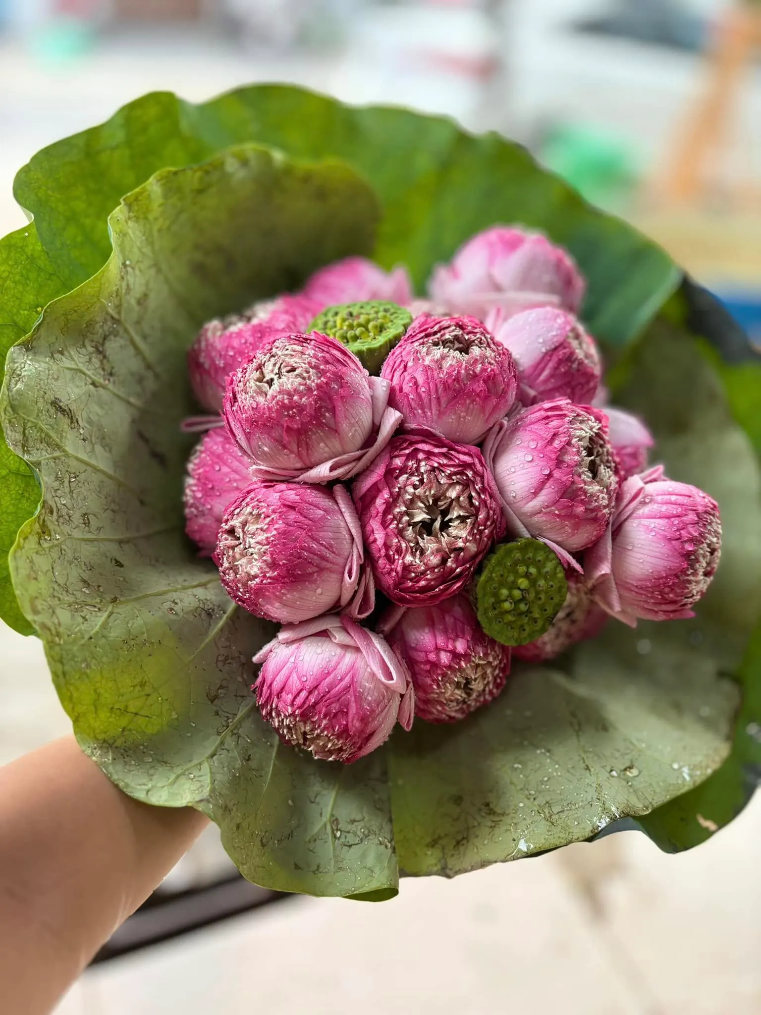 Ảnh 4 của Bó Hoa Sen - Hoa Tươi