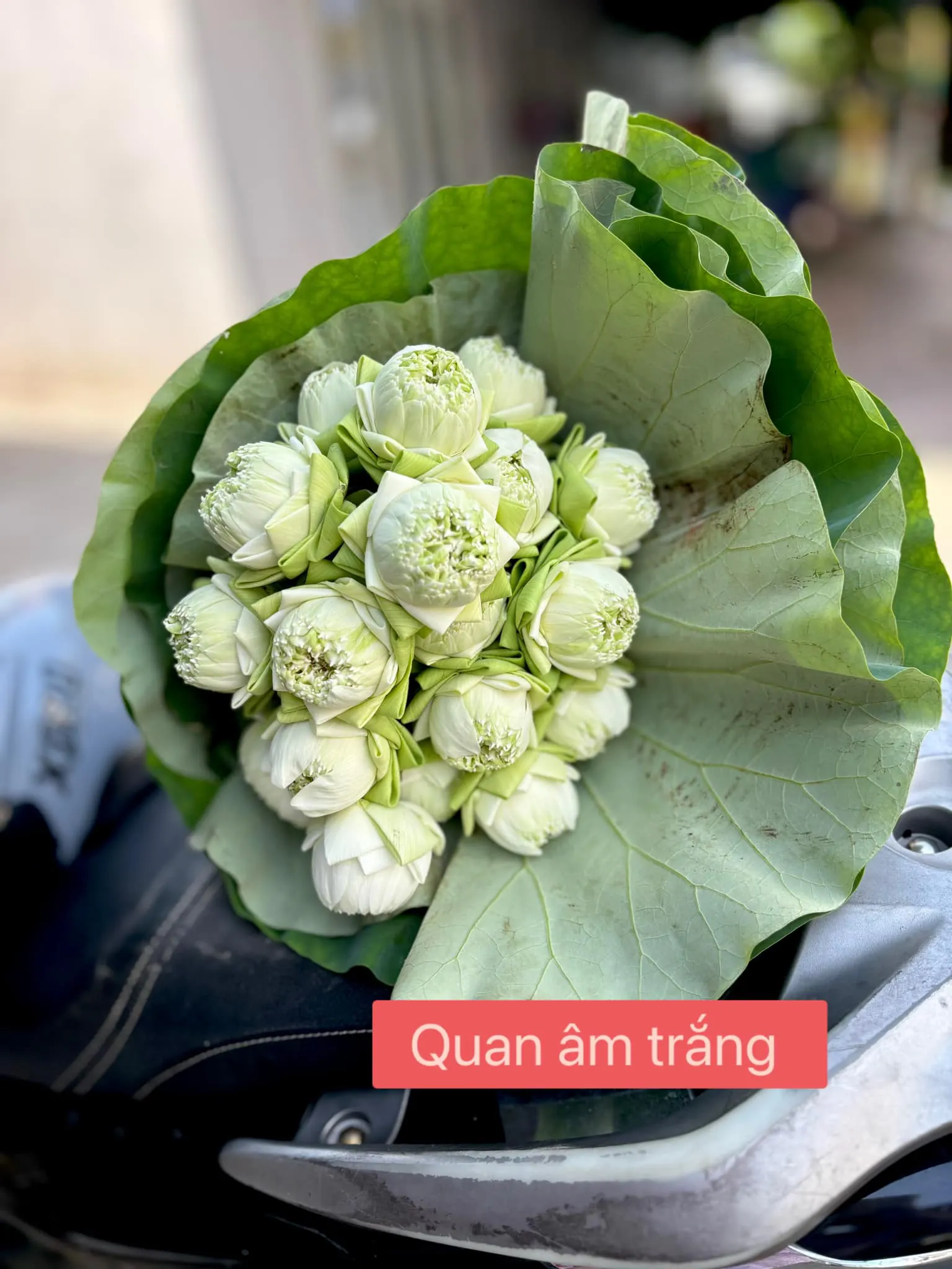 Ảnh 8 của Bó Hoa Cúc - Hoa Tươi