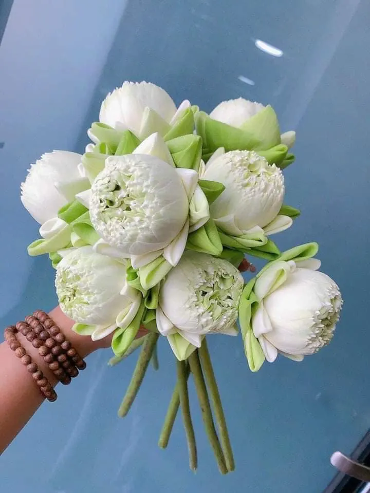 Ảnh 4 của Bó Hoa Mẫu Đơn - Hoa Tươi