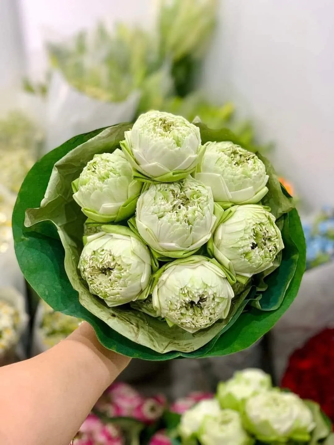 Ảnh chính của Bó Hoa Mẫu Đơn - Hoa Tươi