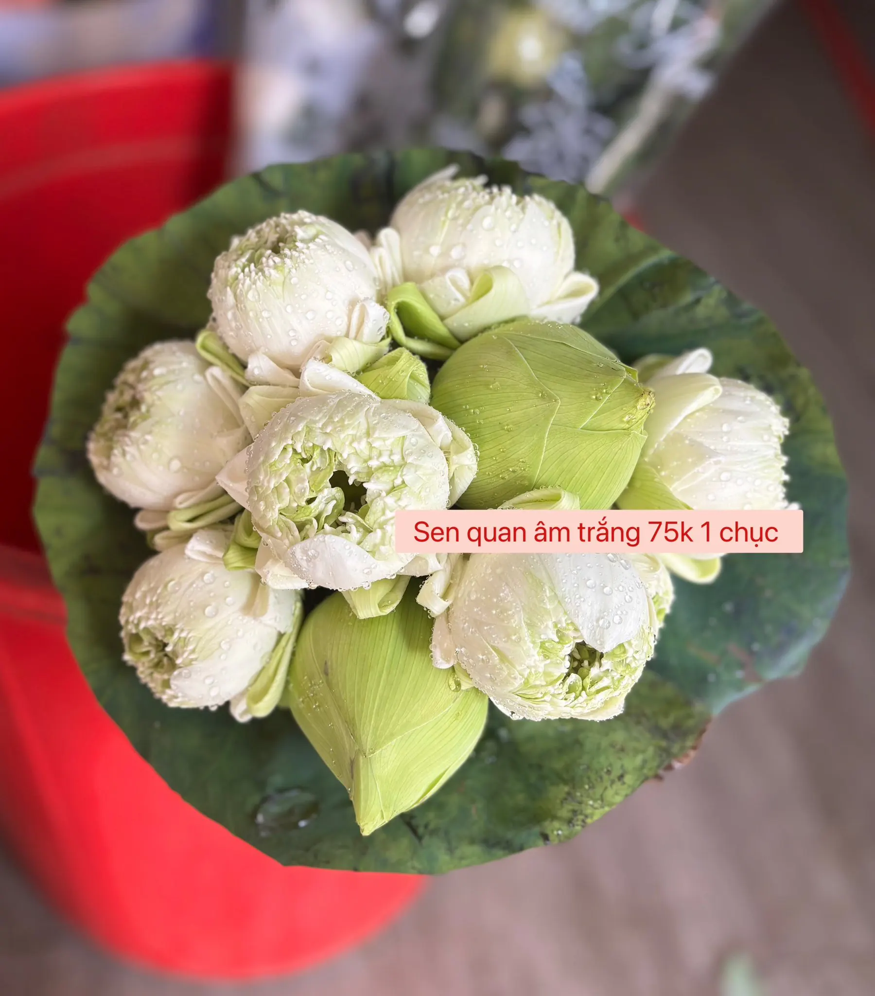 Ảnh 8 của Bó Hoa Hướng Dương & Bạch Đàn - Hoa Tươi