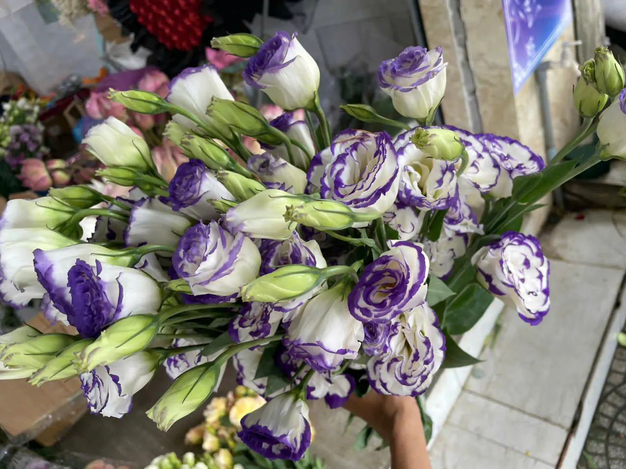 Ảnh 2 của Bó Hoa Tiên - Hoa Tươi
