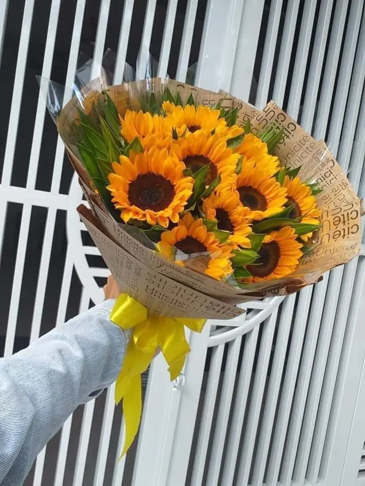 Ảnh 10 của Bó Hoa Hồng Trắng & Cúc Trắng & Hướng Dương - Chúc Mừng