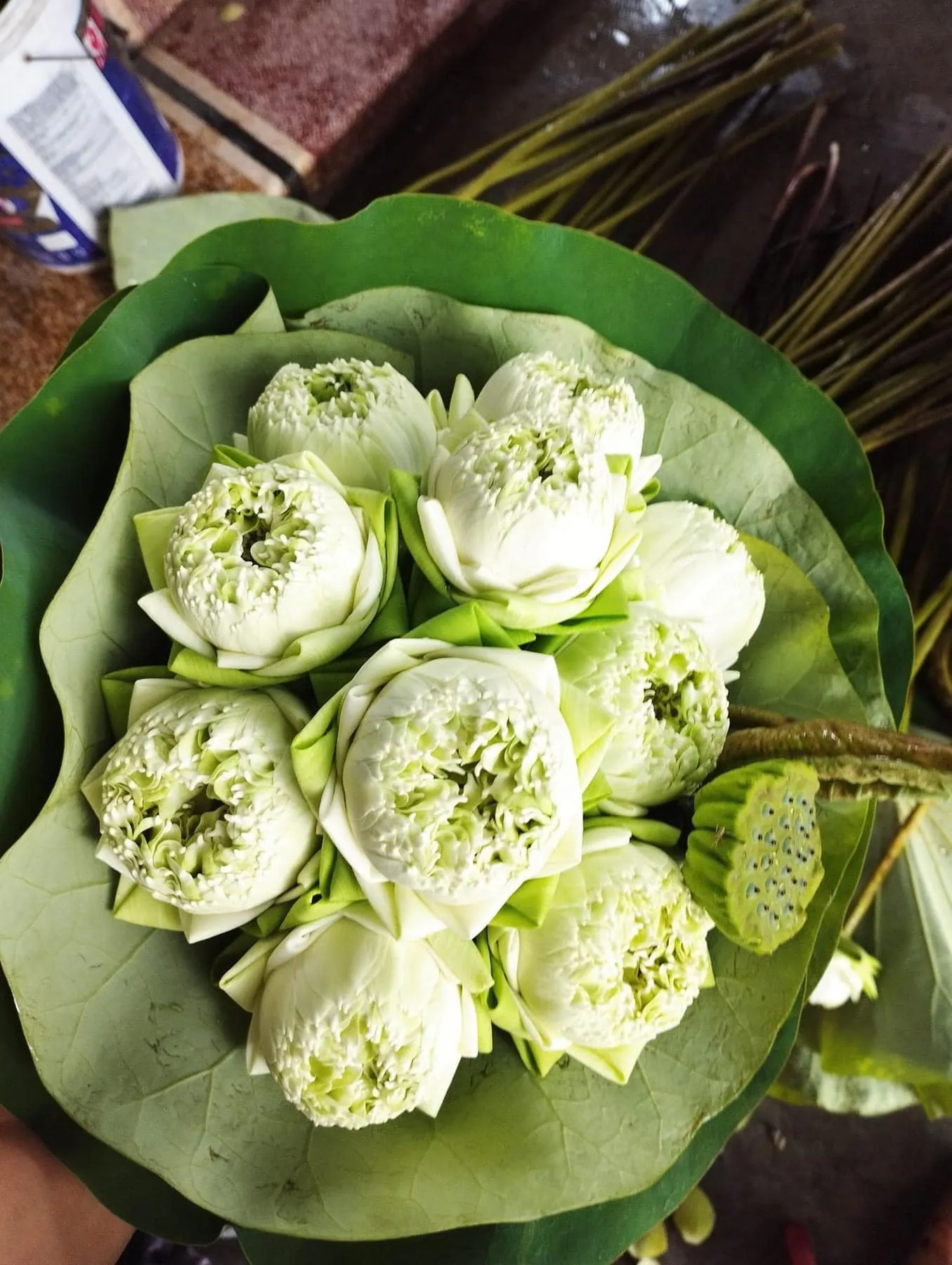 Ảnh 8 của Bó Hoa Hồng Trắng & Cúc Trắng & Hướng Dương - Chúc Mừng