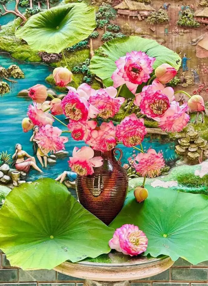 Ảnh chính của Bình Hoa Sen - Hoa Tươi