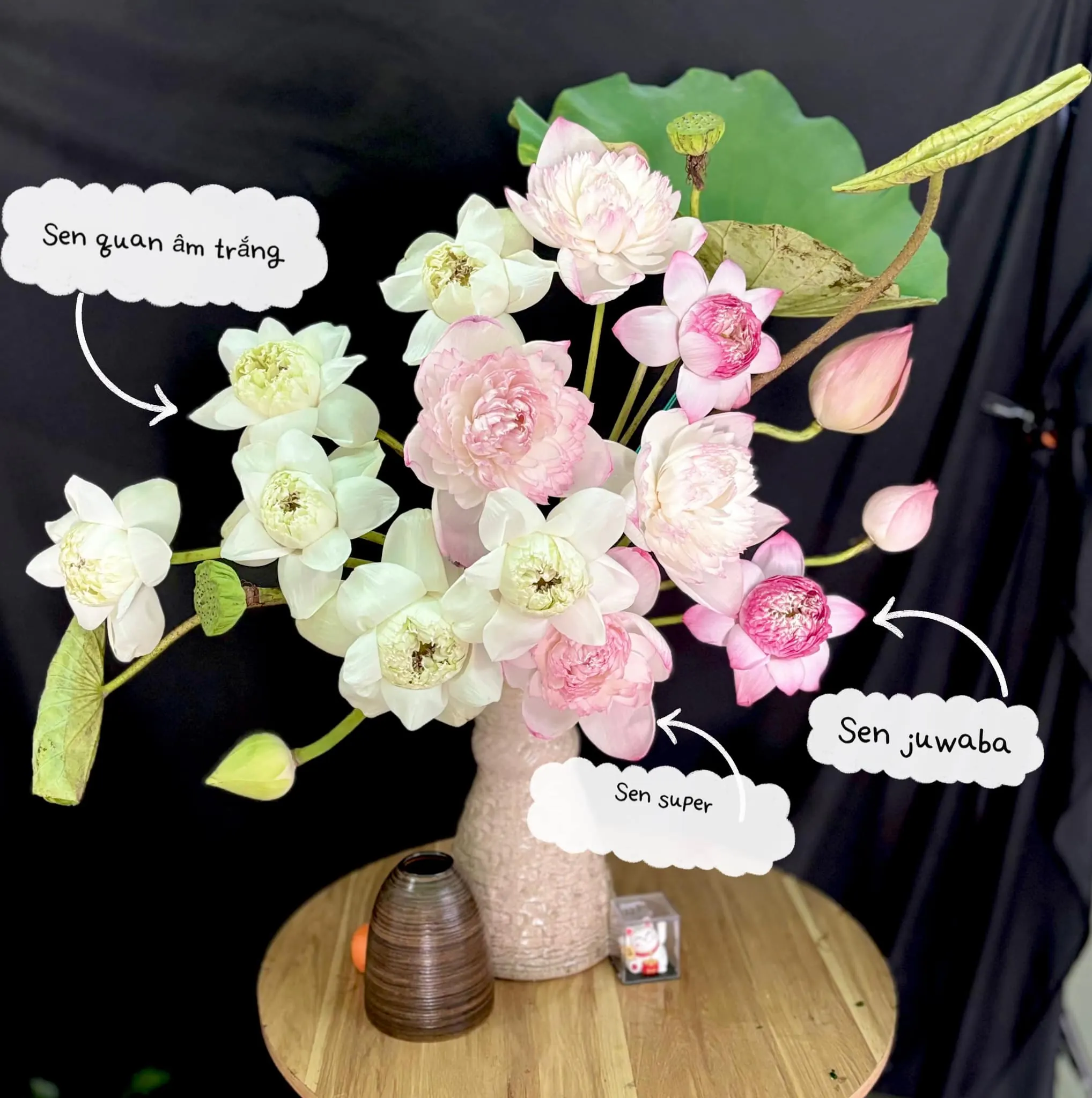 Ảnh 6 của Bình Hoa Sen - Hoa Tươi