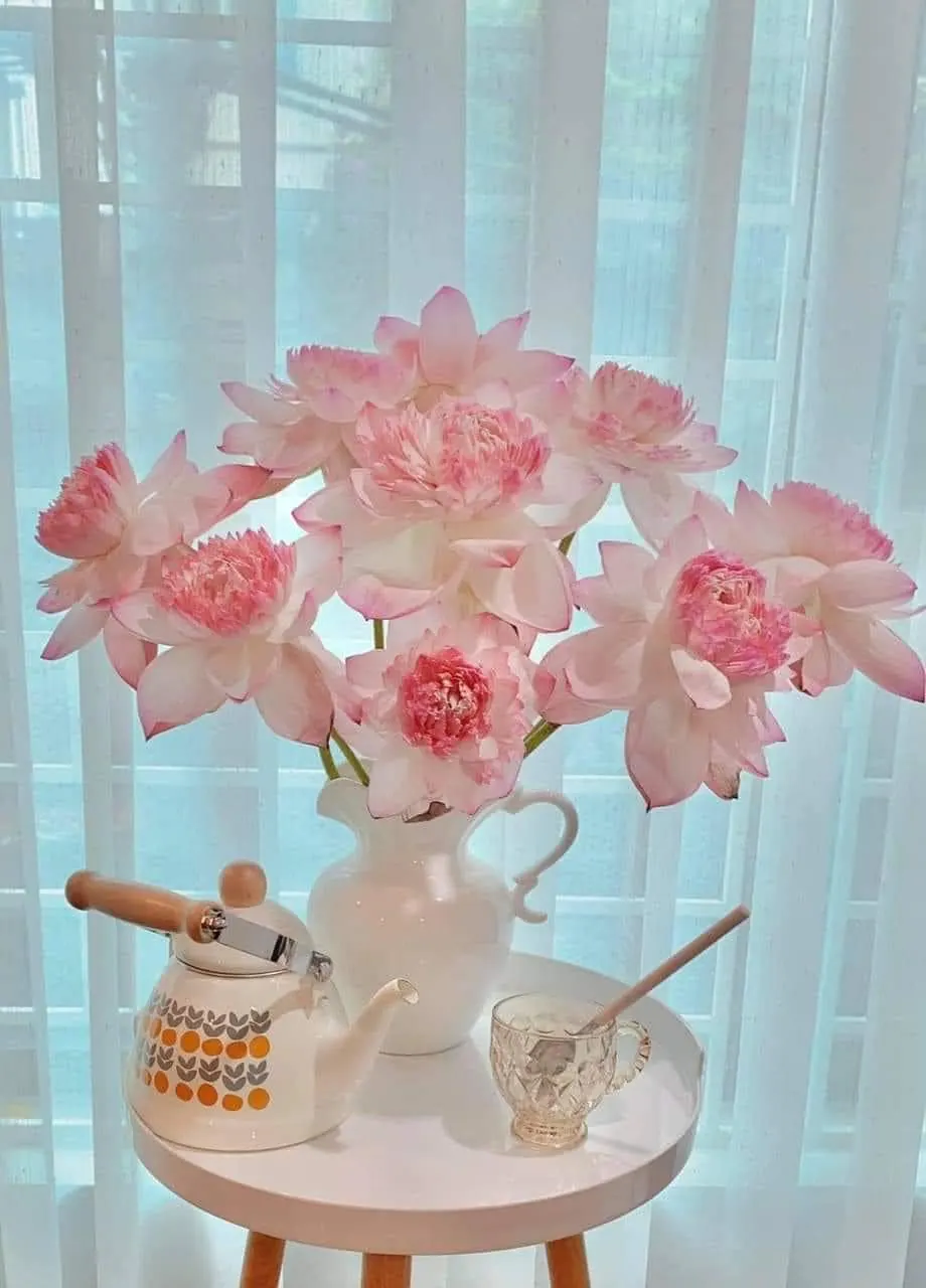 Ảnh 4 của Bình Hoa Sen - Hoa Tươi