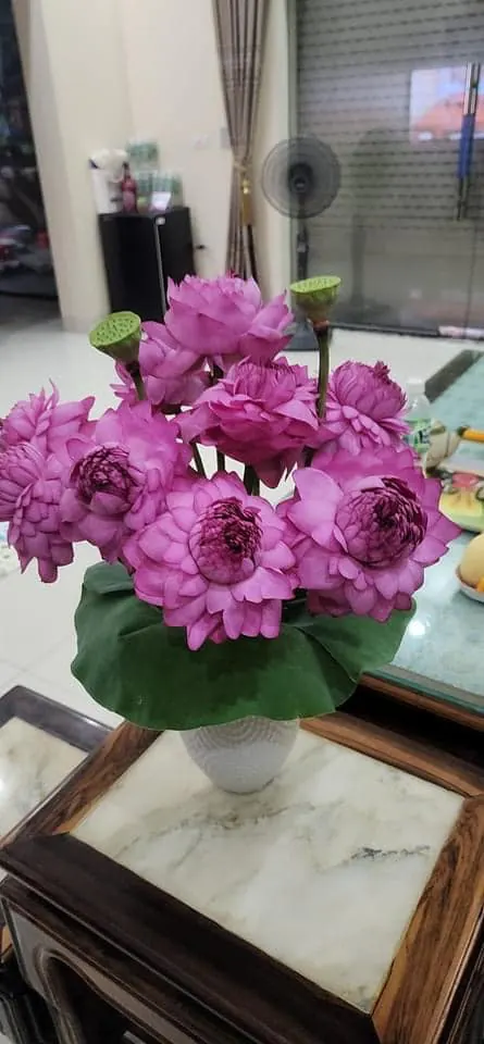 Ảnh 8 của Bình Hoa Sen - Hoa Tươi