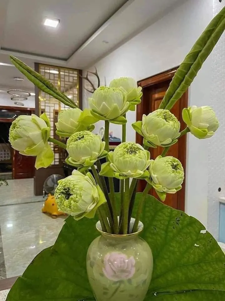 Bình Hoa Sen - Hoa Tươi