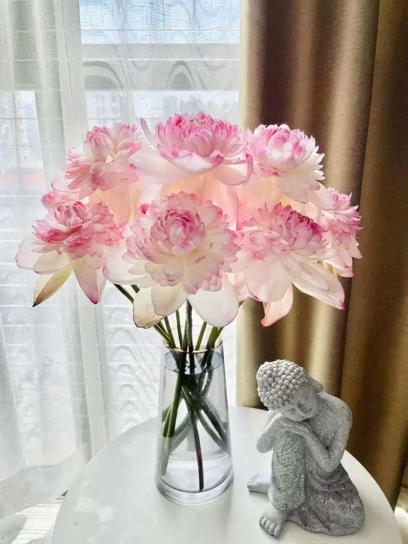 Ảnh 3 của Bình Hoa Sen - Hoa Tươi