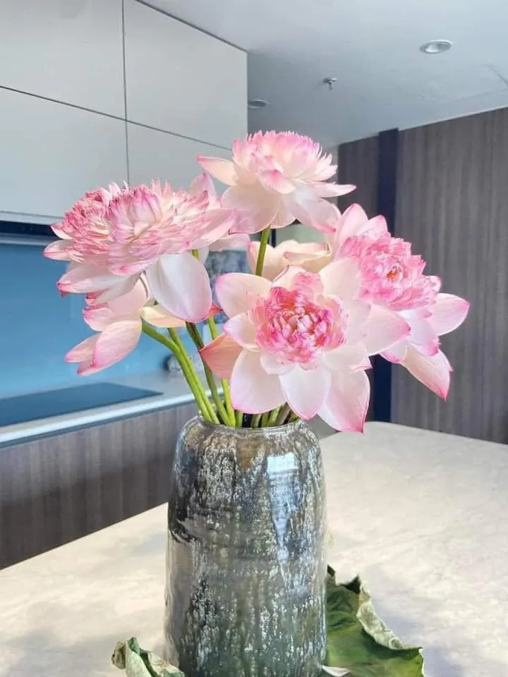 Ảnh chính của Bình Hoa Sen - Hoa Tươi