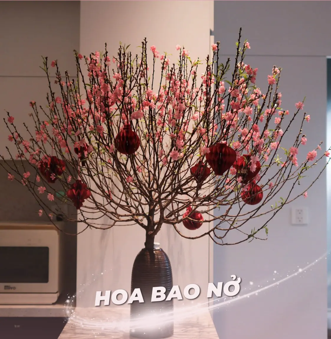 Ảnh 10 của Bình Hoa Sen - Hoa Tươi