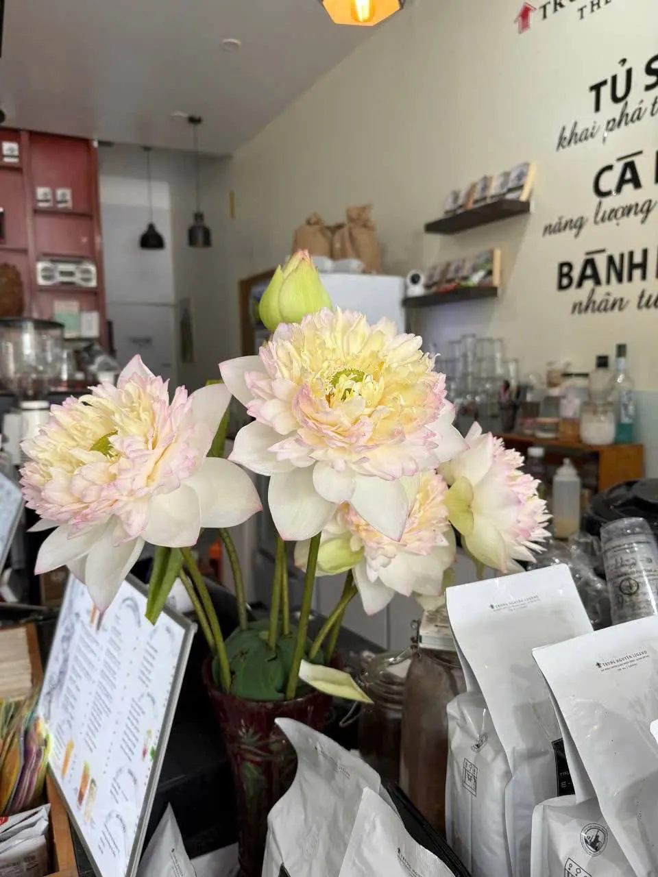 Ảnh 5 của Bình Hoa Ly - Hoa Tươi