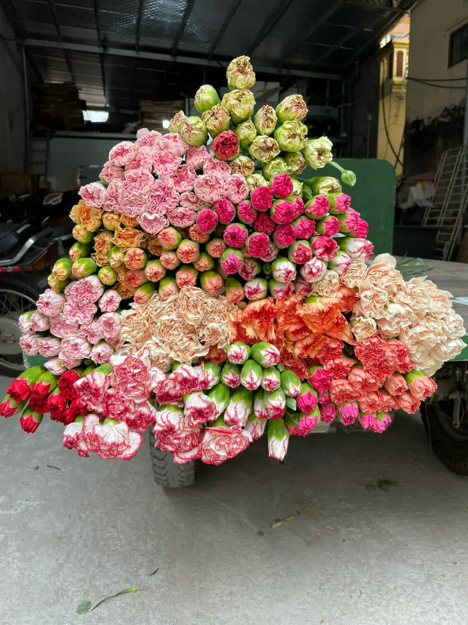Ảnh 6 của Sản Phẩm Hoa Cành Đào Hoa Tươi - Hoa Tươi