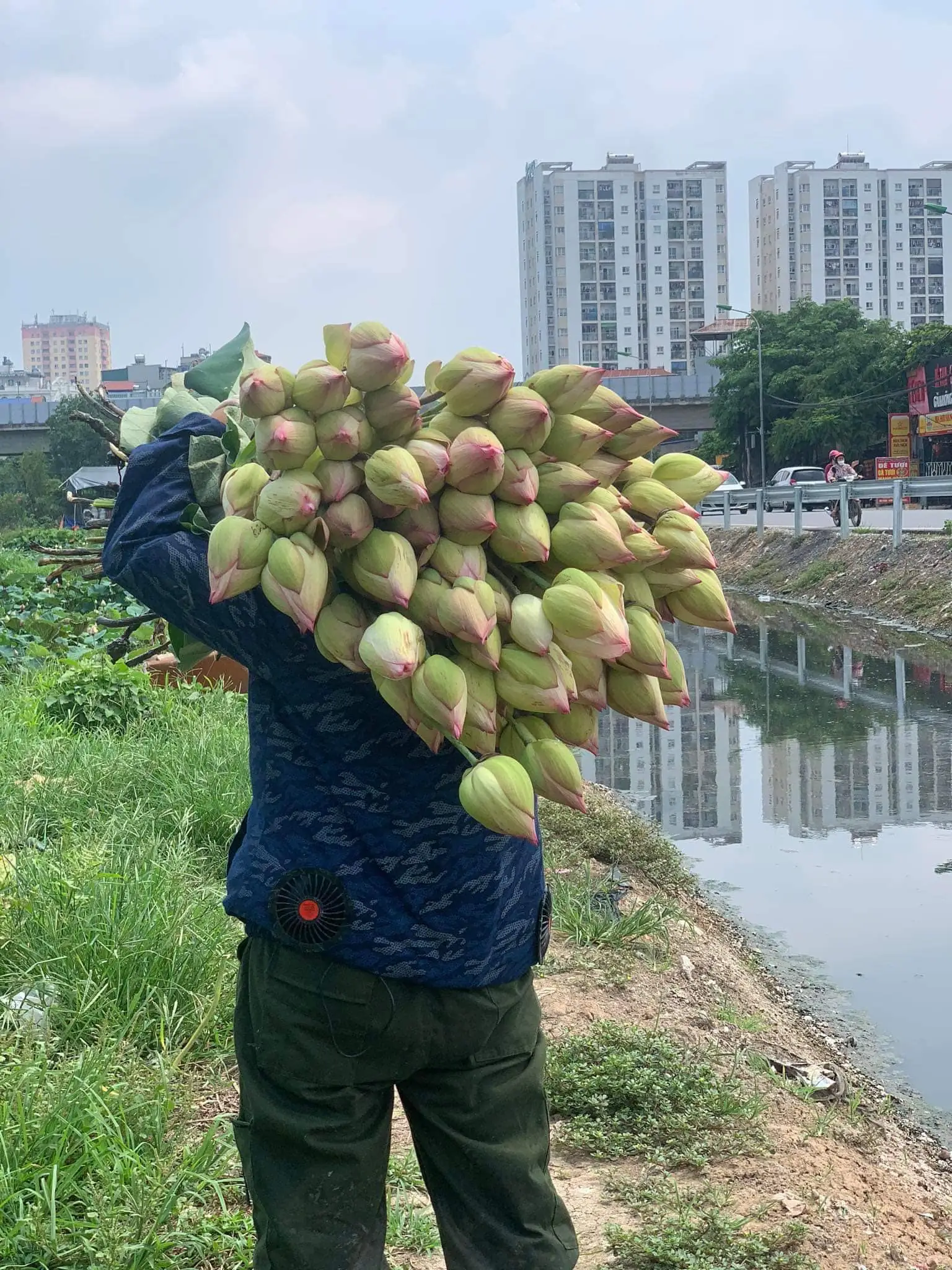 Ảnh 2 của Sản Phẩm Hoa Hoa Tươi - Hoa Tươi