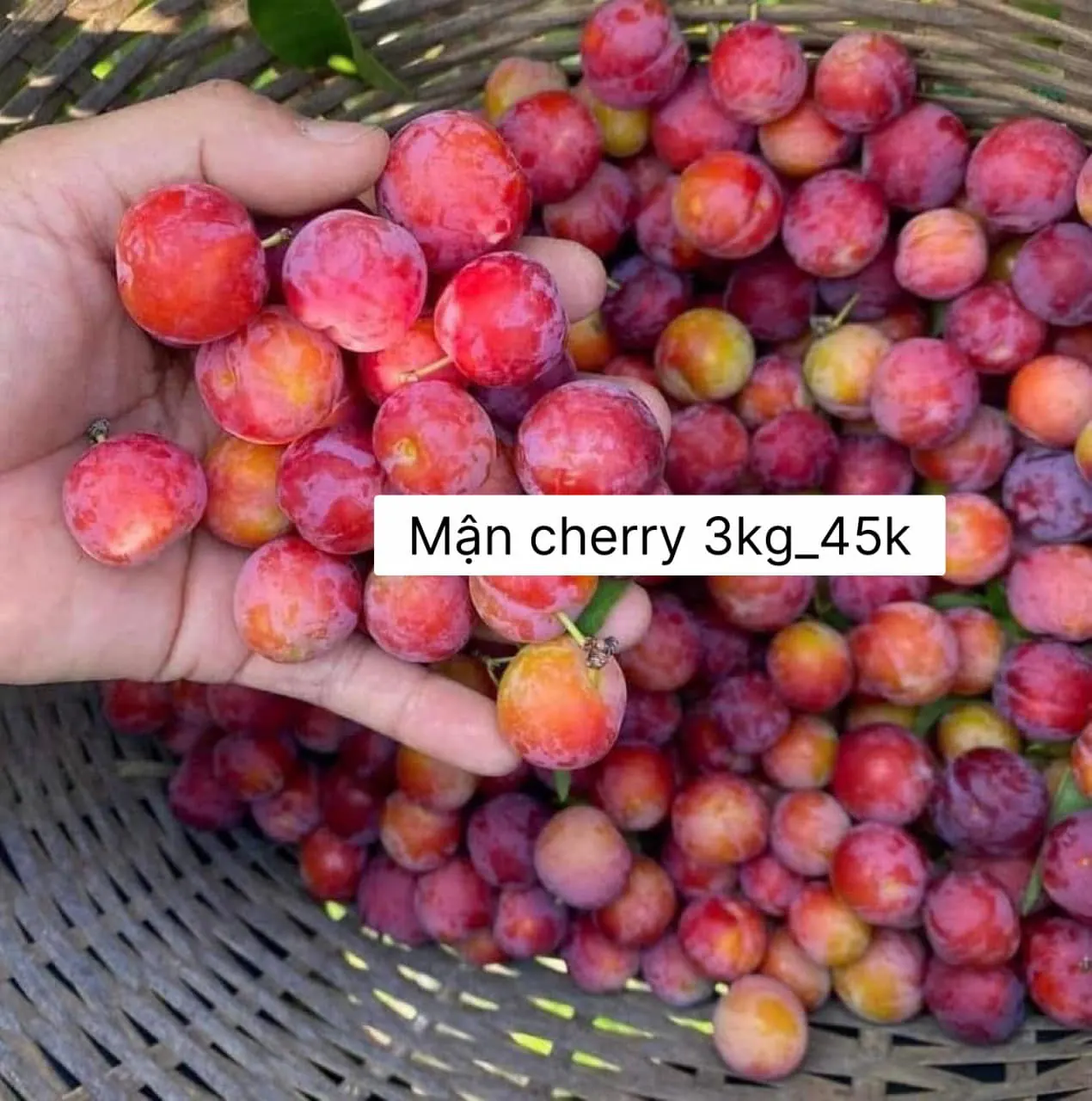 Ảnh 9 của Hộp Hoa Hồng Vàng & Hồng - Hoa Tươi