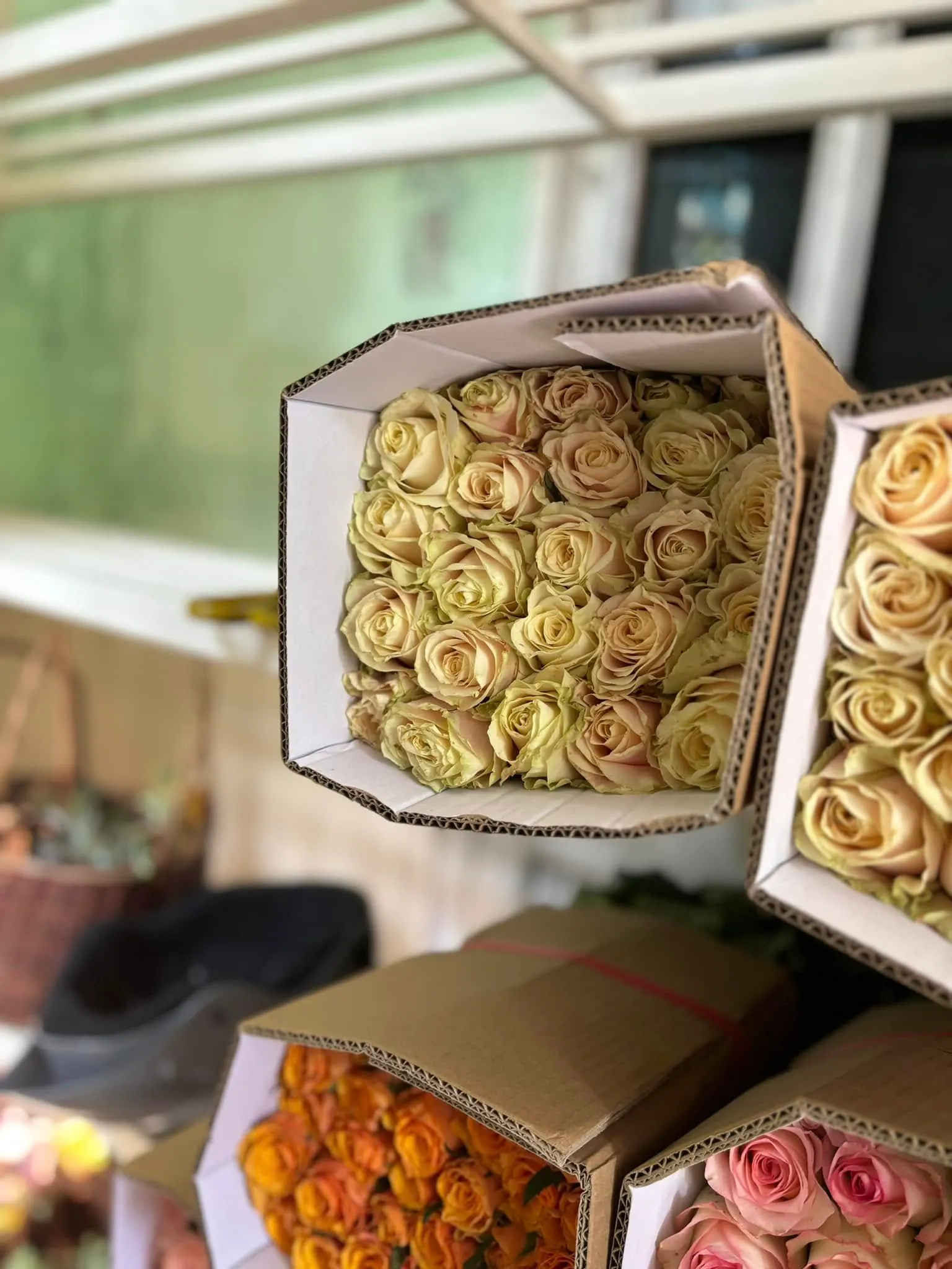 Ảnh 7 của Hộp Hoa Hồng Vàng & Hồng - Hoa Tươi