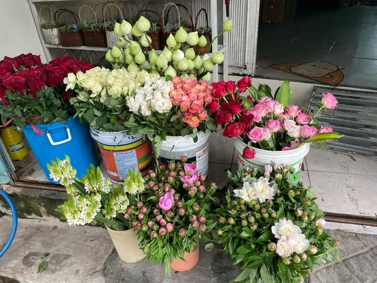 Ảnh 3 của Sản Phẩm Hoa Hoa Tươi - Hoa Tươi