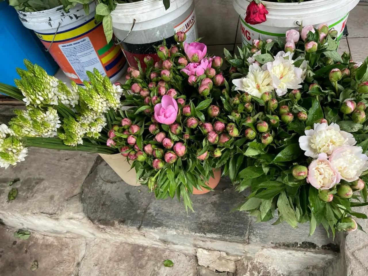 Ảnh chính của Sản Phẩm Hoa Hoa Tươi - Hoa Tươi