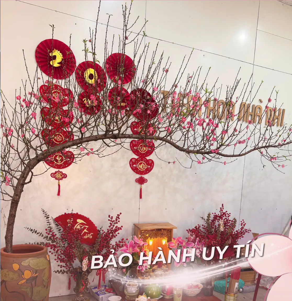 Ảnh 7 của Sản Phẩm Hoa Cành Đào Hoa Tươi - Hoa Tươi