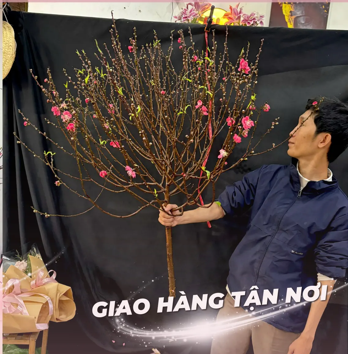 Ảnh 6 của Sản Phẩm Hoa Cành Đào Hoa Tươi - Hoa Tươi