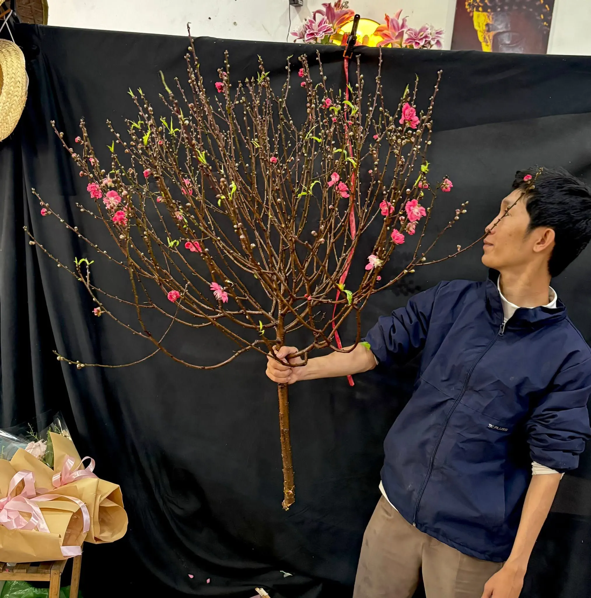 Ảnh chính của Sản Phẩm Hoa Cành Đào Hoa Tươi - Hoa Tươi