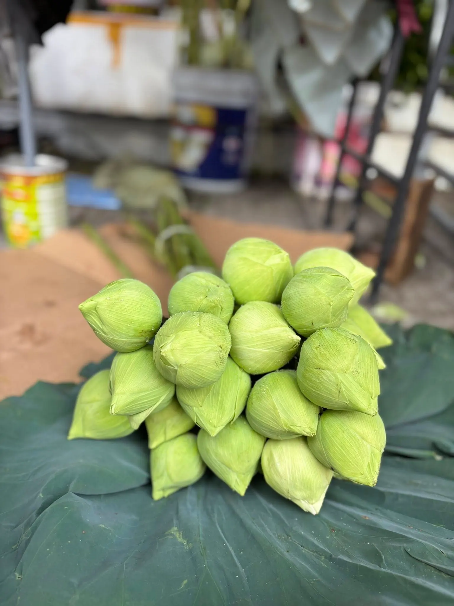 Ảnh 4 của Sản Phẩm Hoa Hoa Tươi - Hoa Tươi