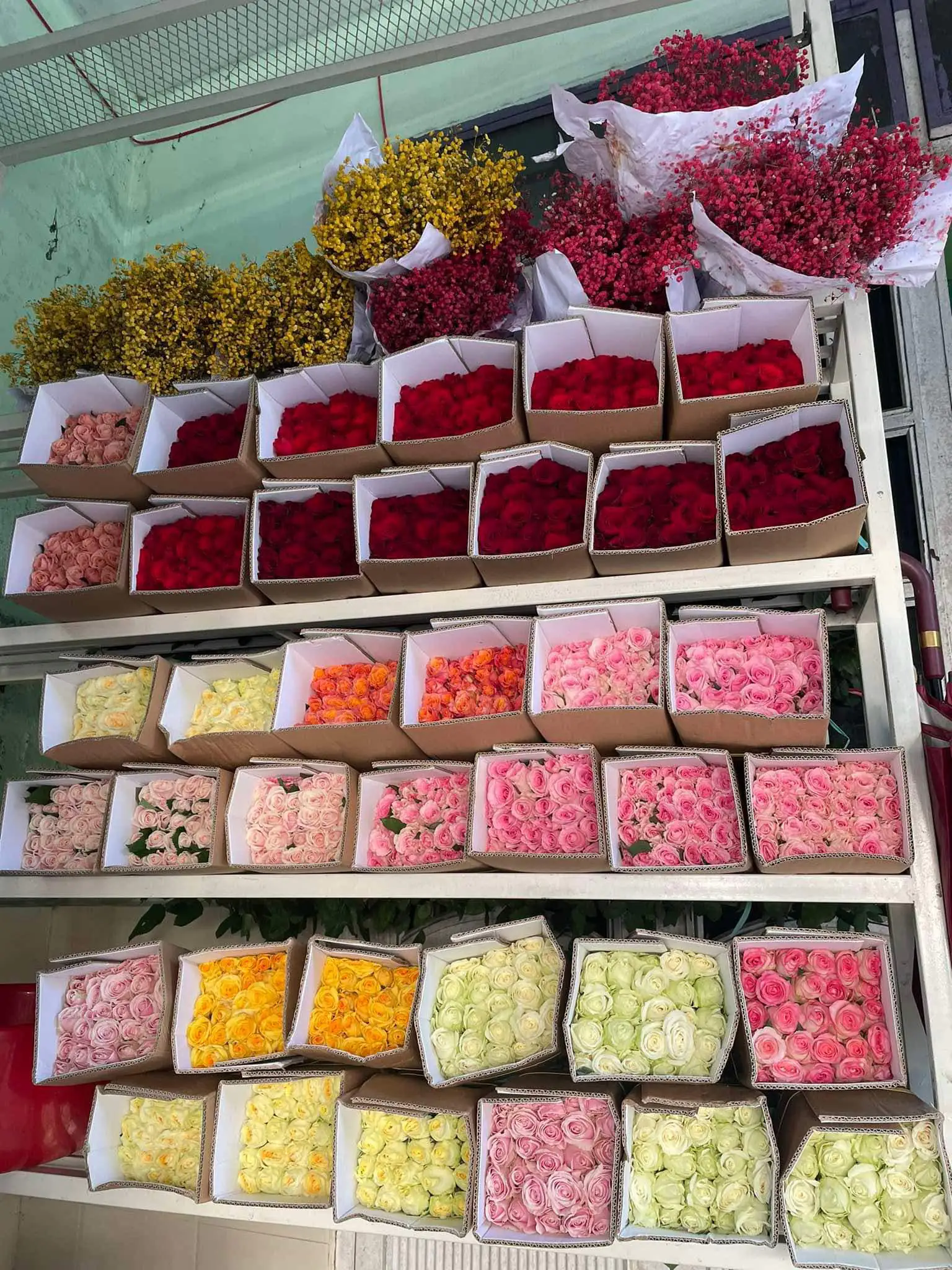 Ảnh 8 của Hộp Hoa Hồng - Hoa Tươi