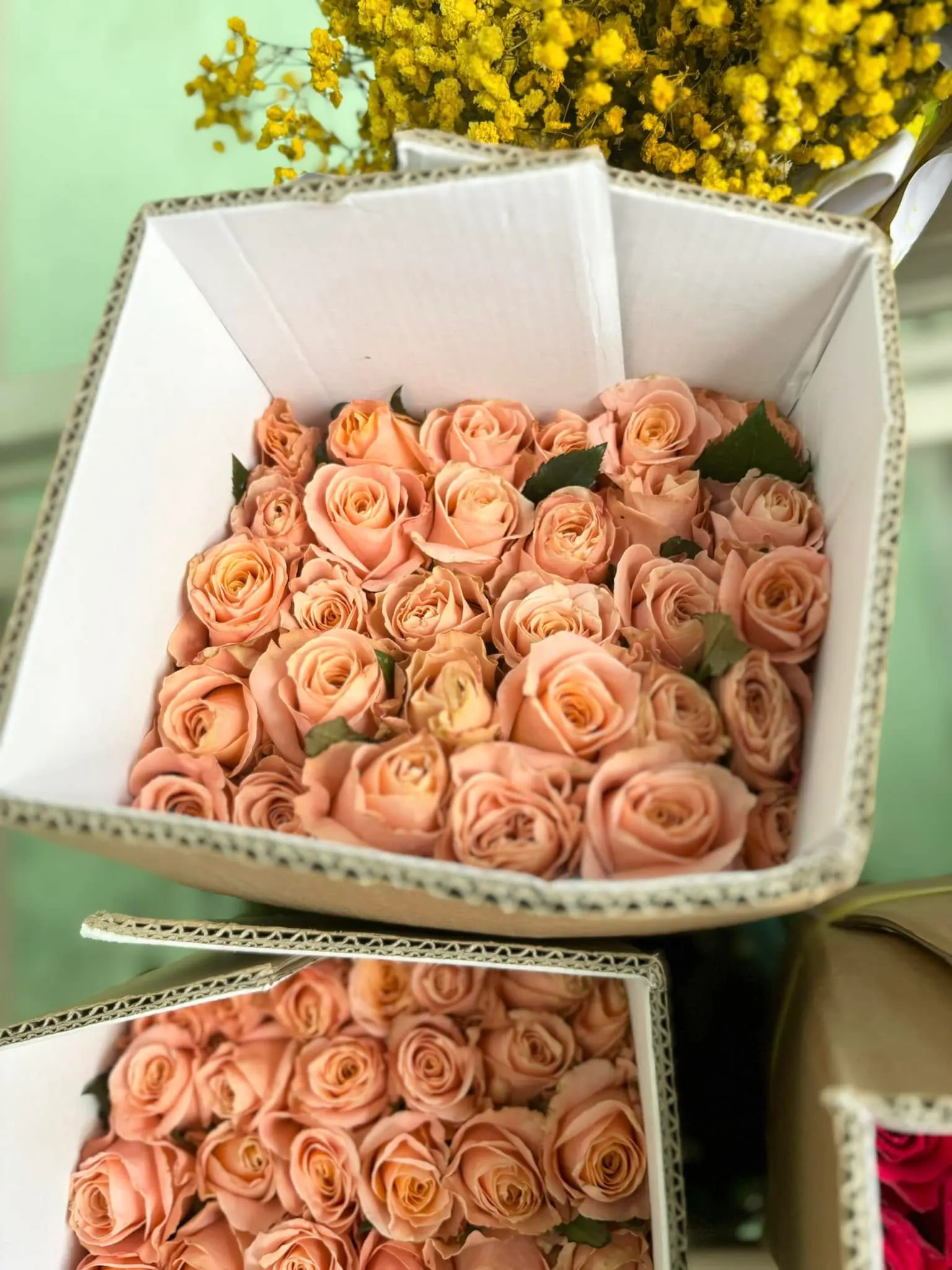 Ảnh 5 của Hộp Hoa Hồng - Hoa Tươi
