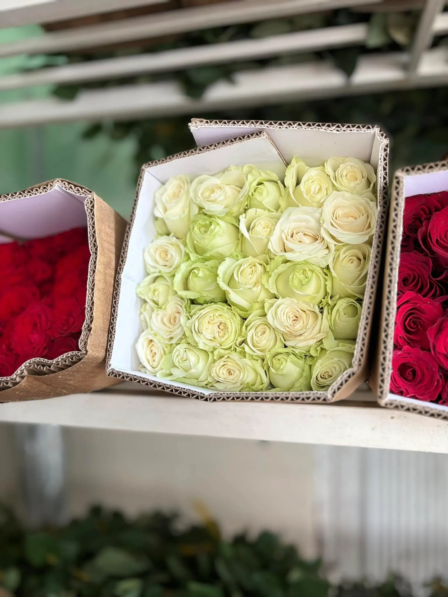 Ảnh 4 của Hộp Hoa Hoa Tươi - Hoa Tươi
