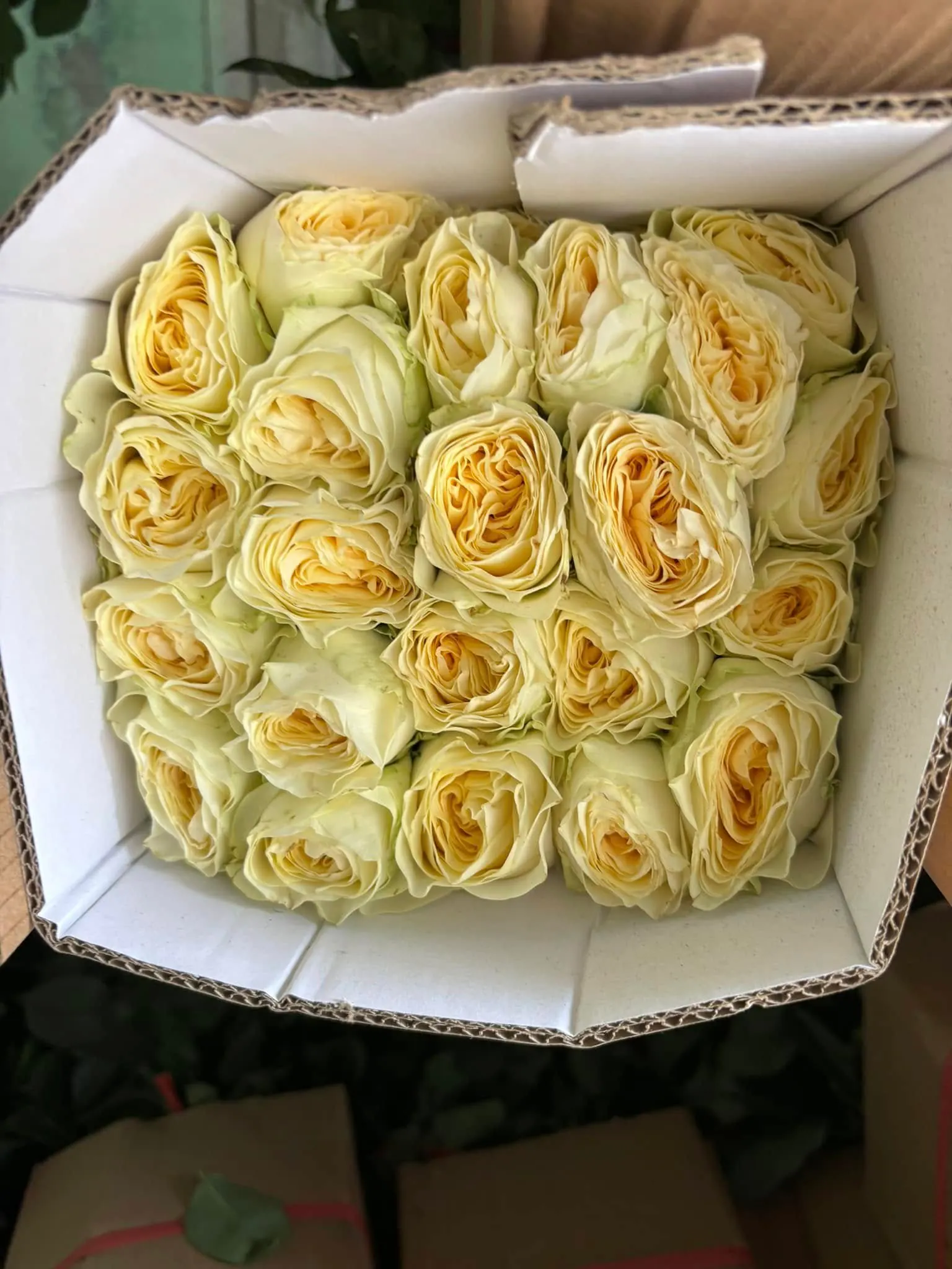 Ảnh chính của Hộp Hoa Hồng - Hoa Tươi
