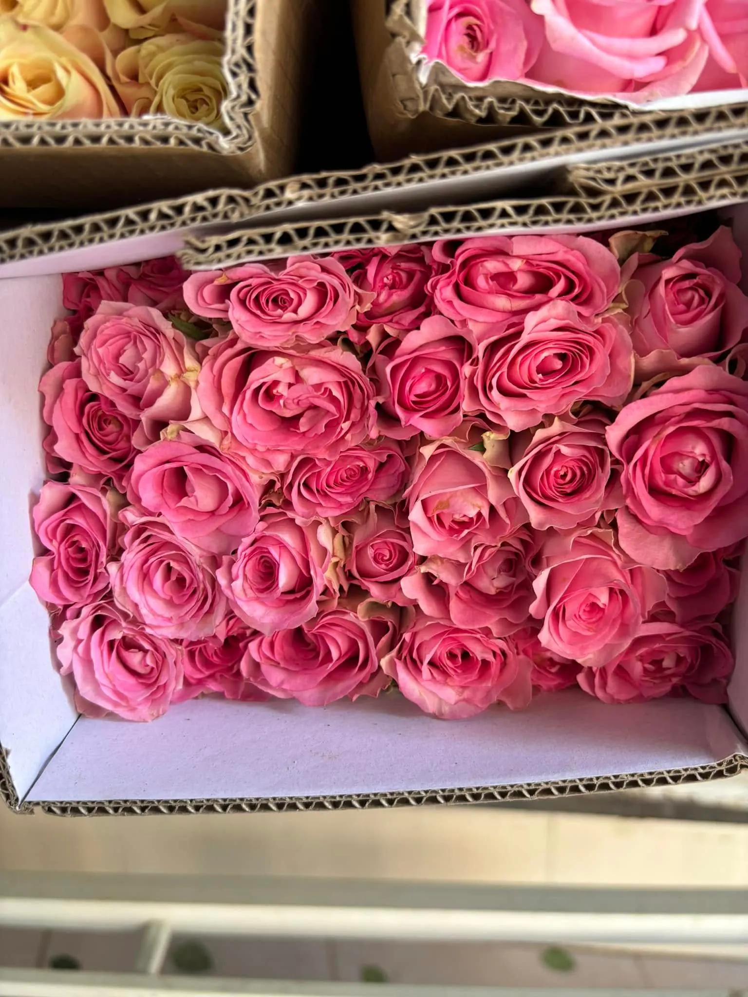 Ảnh 10 của Hộp Hoa Hoa Tươi - Valentine