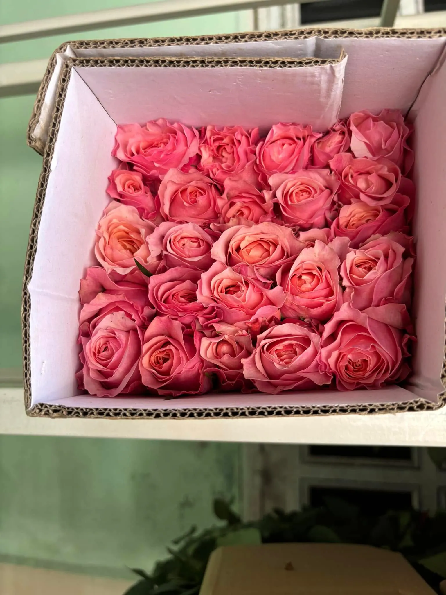 Ảnh 9 của Hộp Hoa Hoa Tươi - Valentine