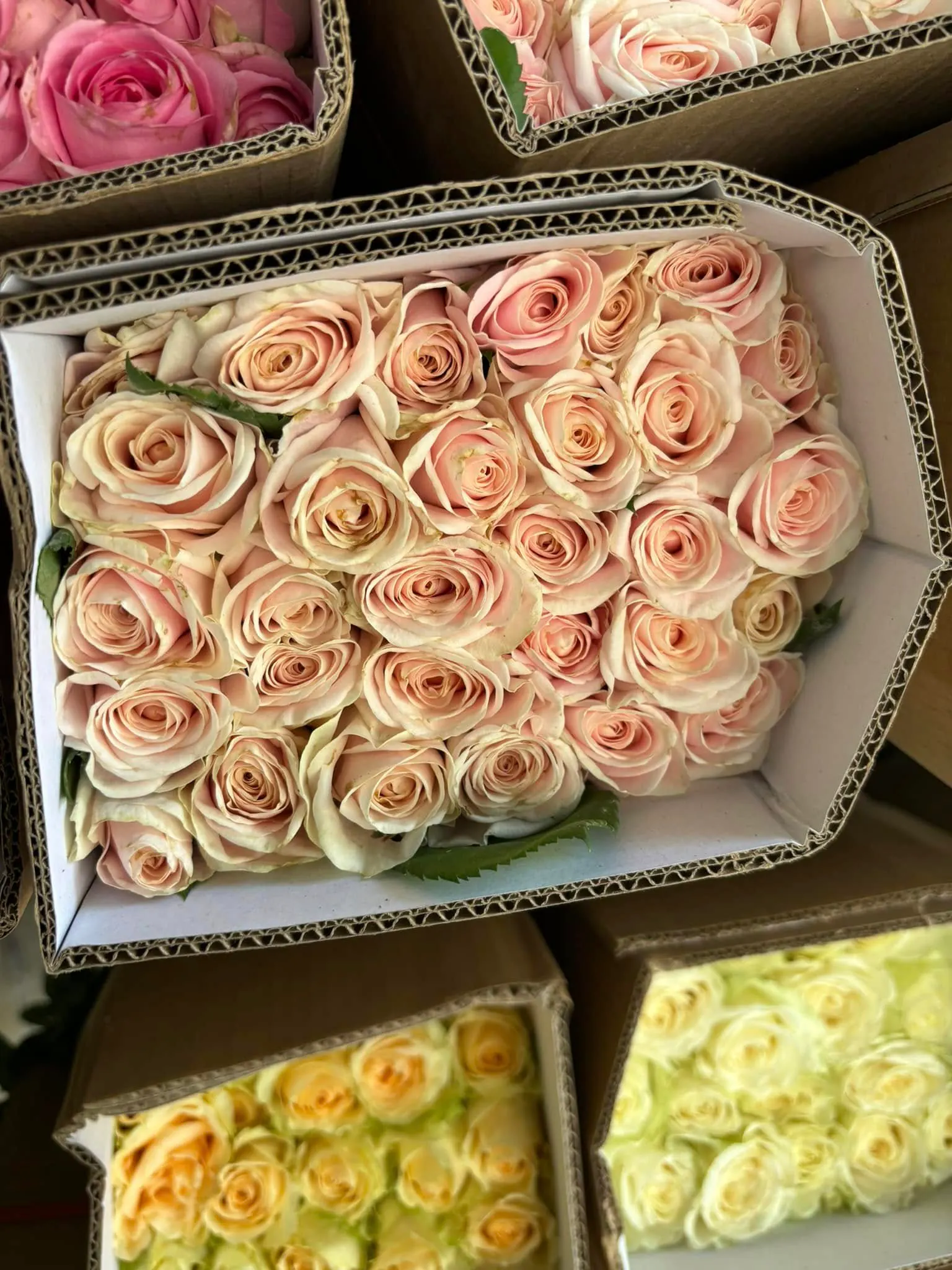 Ảnh 7 của Hộp Hoa Hoa Tươi - Valentine