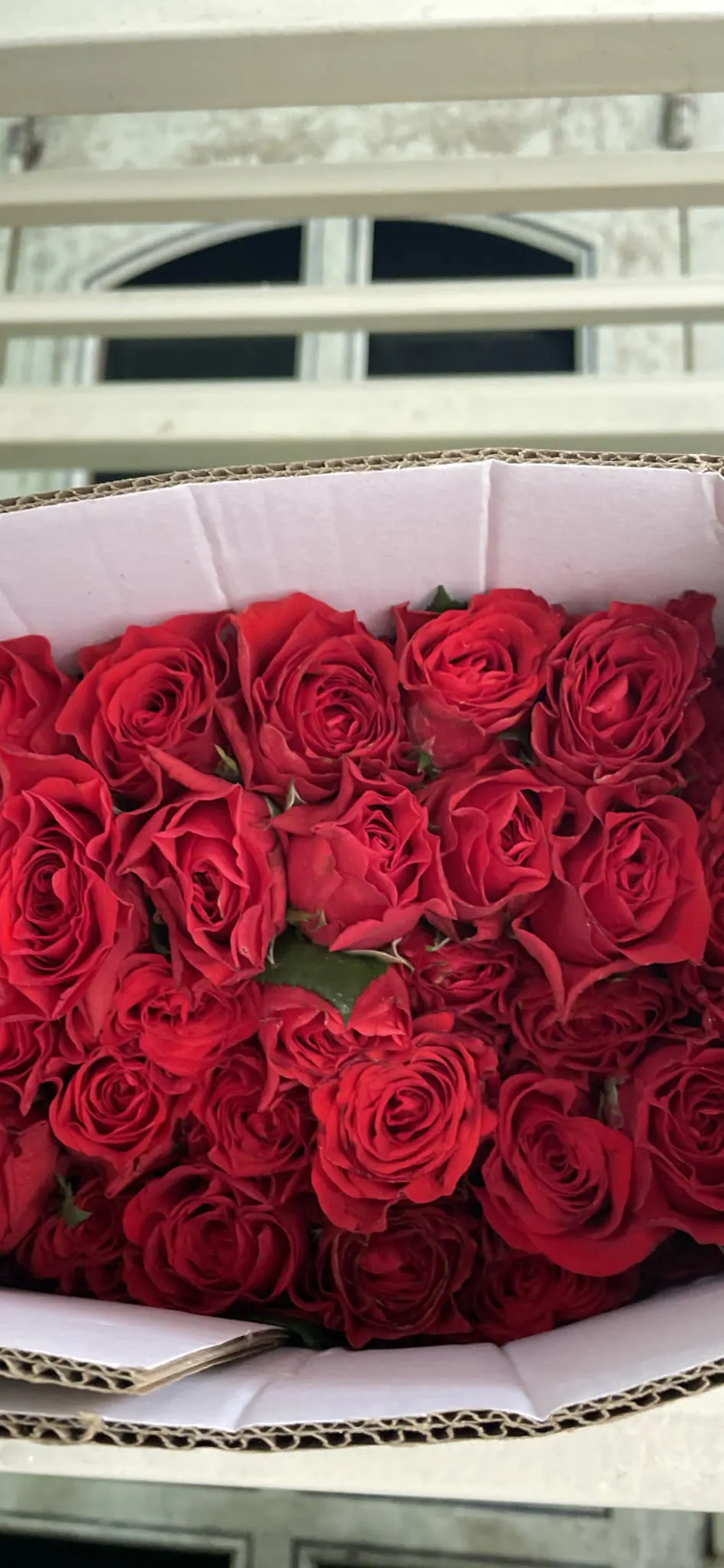 Ảnh 10 của Hộp Hoa Hồng Đỏ & Hồng - Valentine