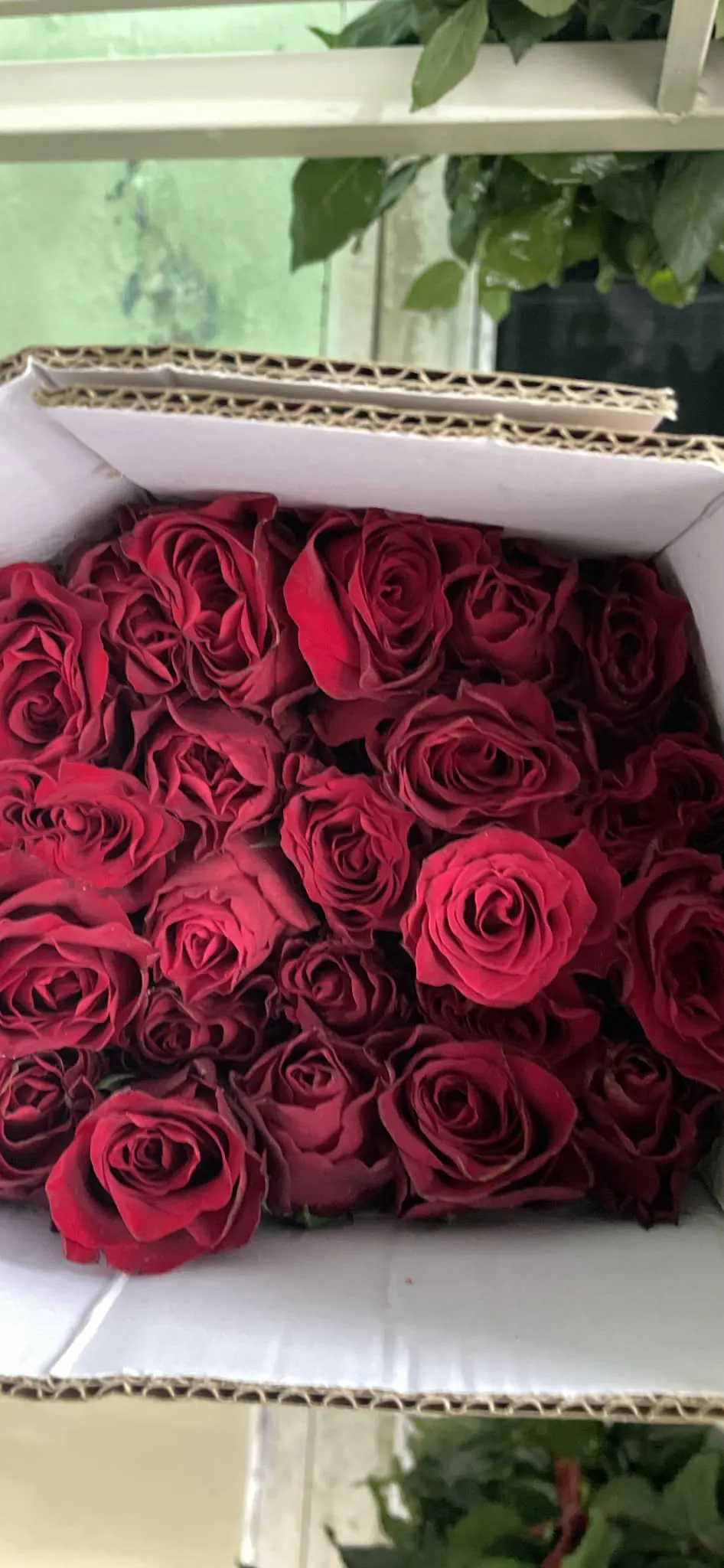 Ảnh 8 của Hộp Hoa Hồng Đỏ & Hồng - Valentine