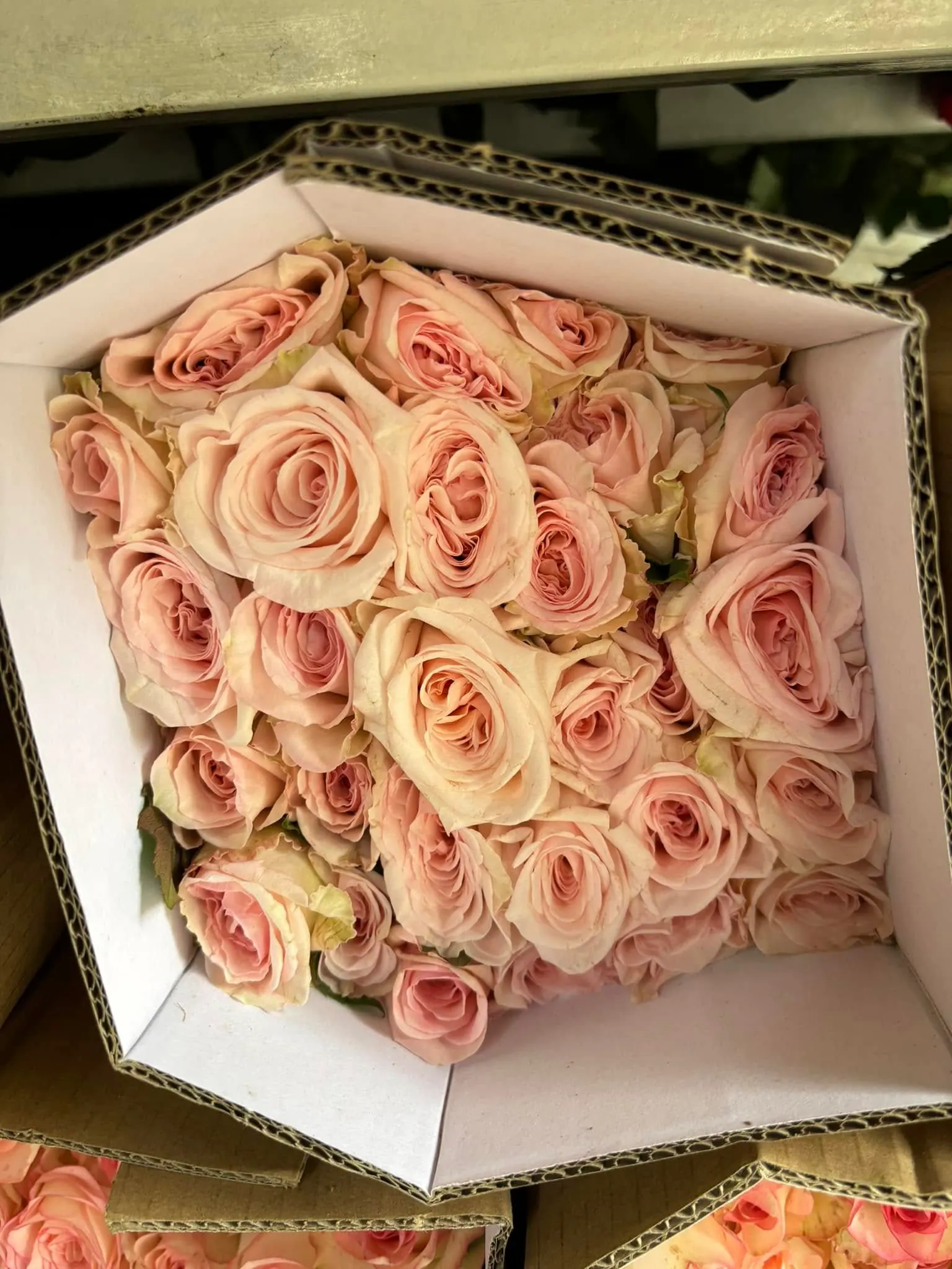 Ảnh 6 của Hộp Hoa Hồng Đỏ & Hồng - Valentine