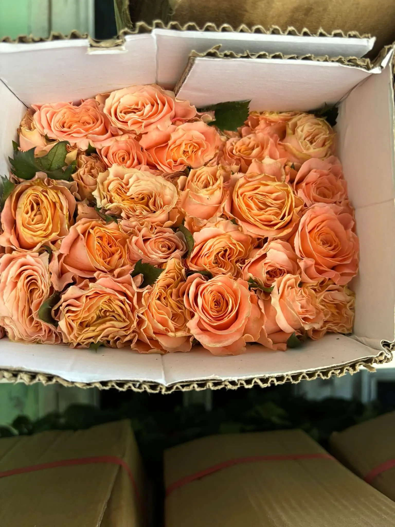 Ảnh 4 của Hộp Hoa Hồng Đỏ & Hồng - Valentine