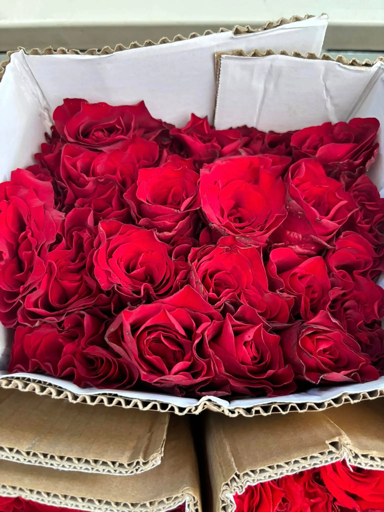 Ảnh 2 của Hộp Hoa Hồng Đỏ & Hồng - Valentine