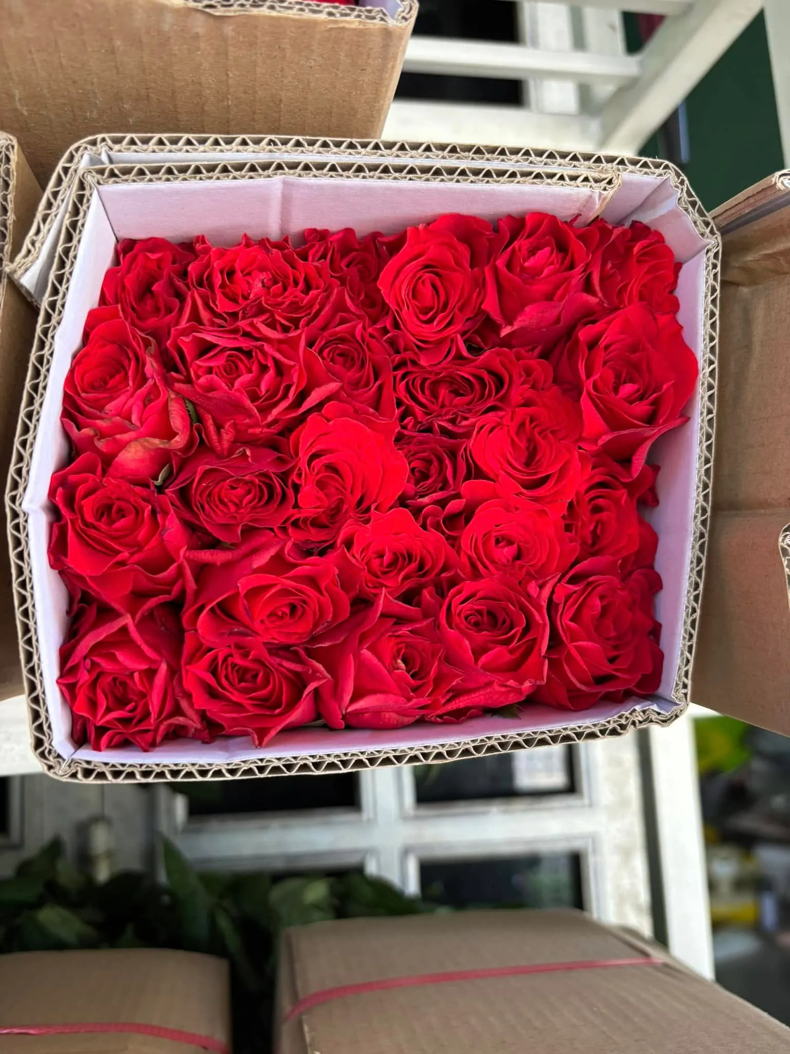Ảnh chính của Hộp Hoa Hồng Đỏ & Hồng - Valentine