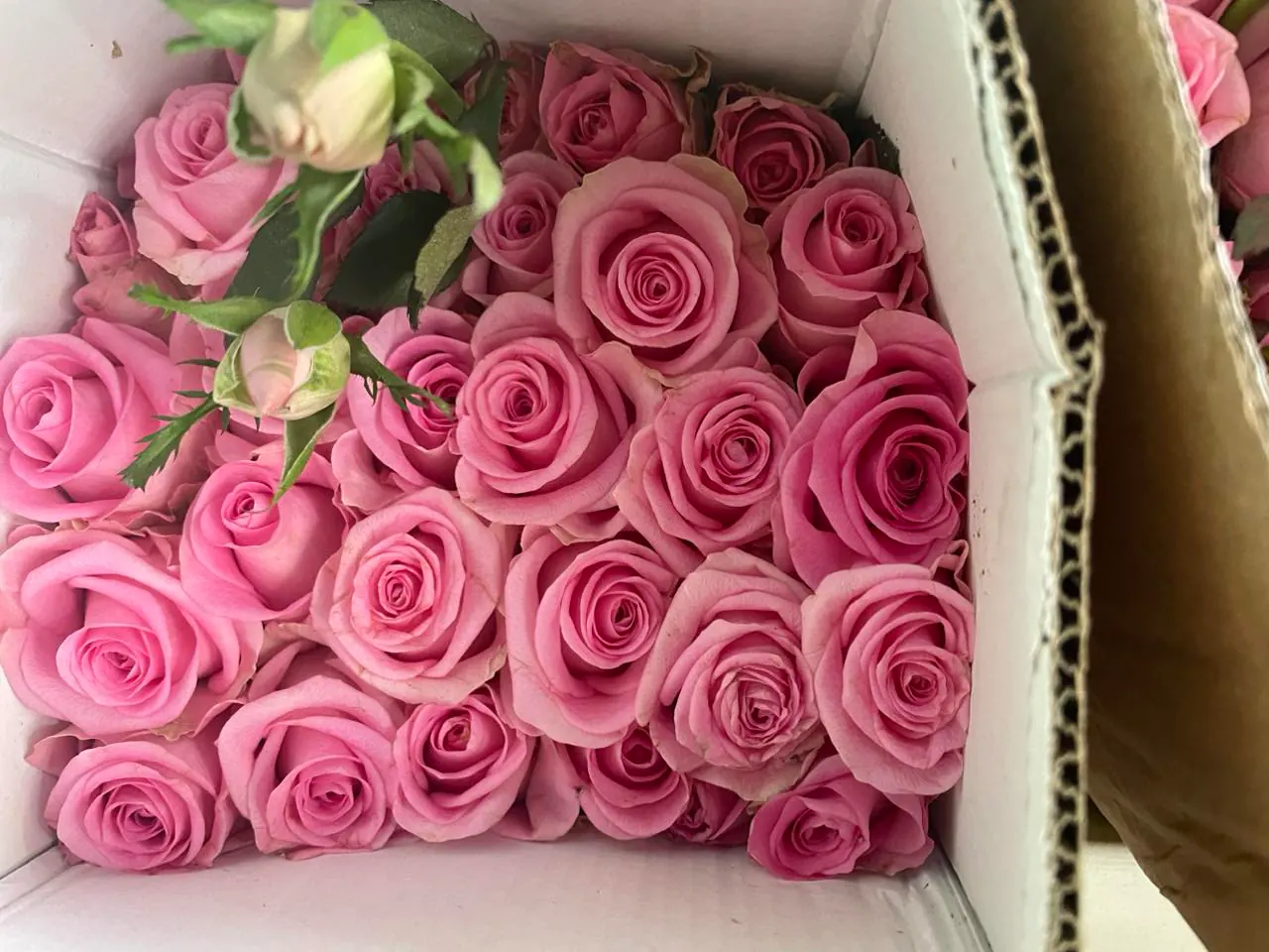 Ảnh 7 của Hộp Hoa Hồng Đỏ & Hồng - Valentine