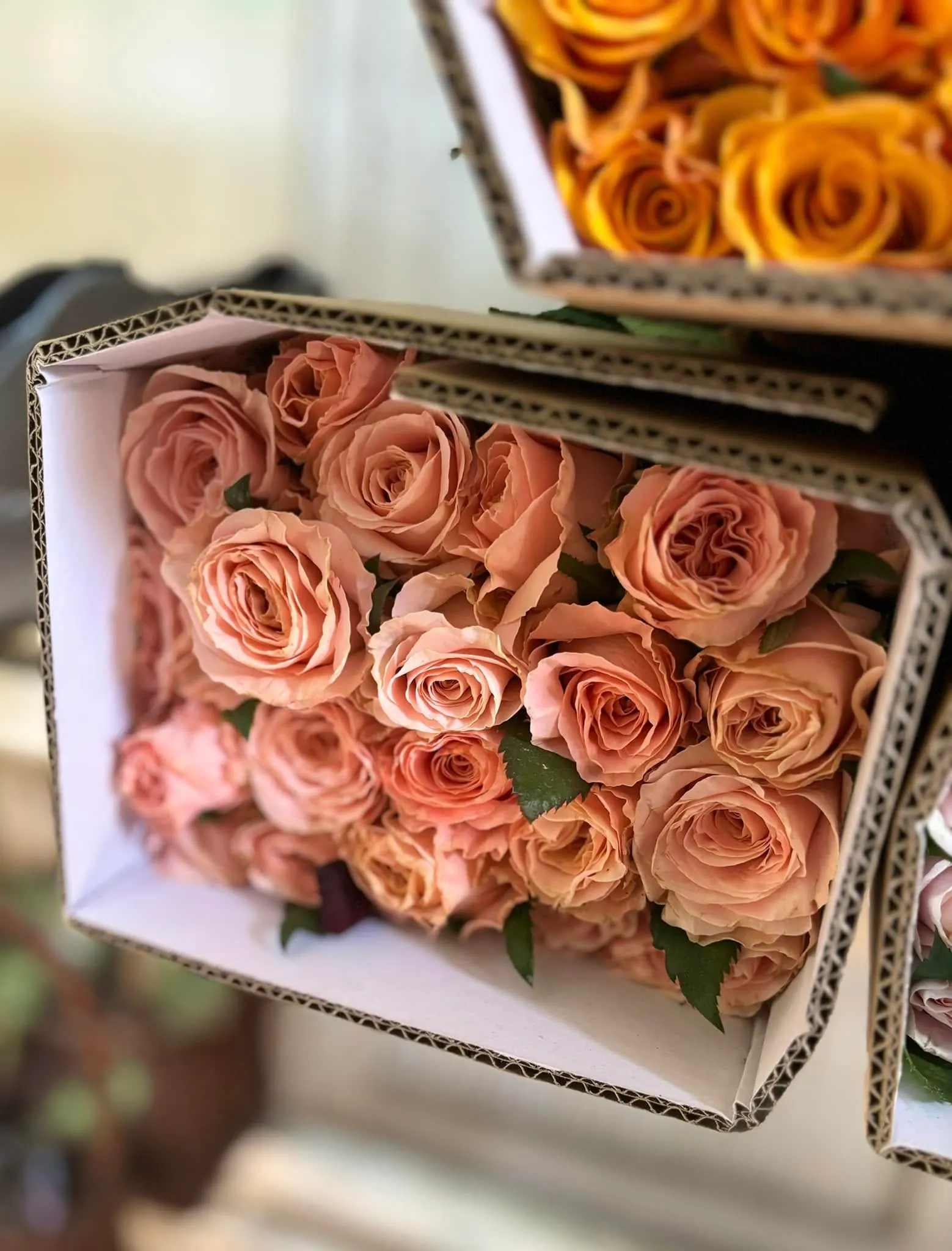 Ảnh 3 của Hộp Hoa Hồng Đỏ & Hồng - Valentine