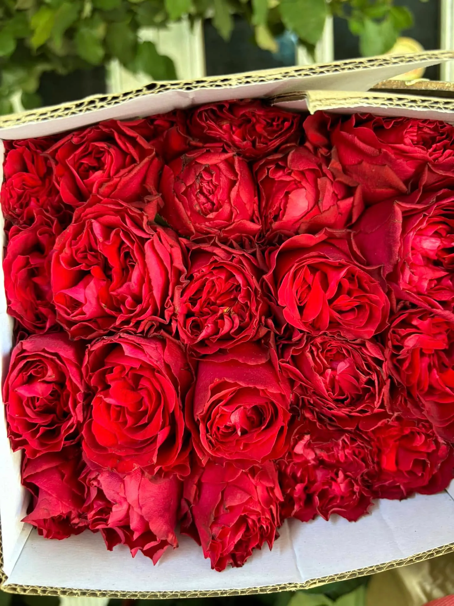 Ảnh 2 của Hộp Hoa Hồng Đỏ & Hồng - Valentine
