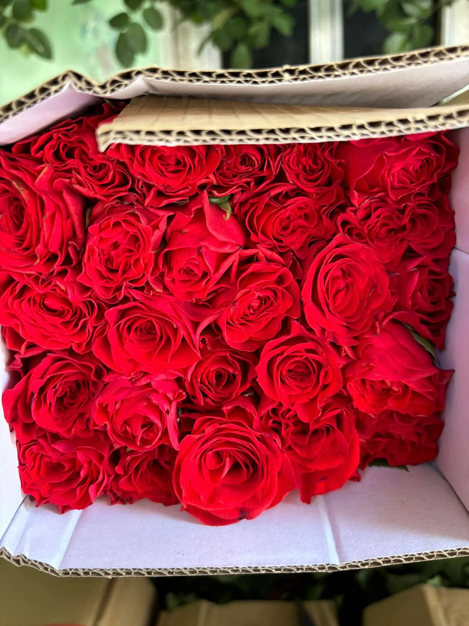 Ảnh chính của Hộp Hoa Hồng Đỏ & Hồng - Valentine