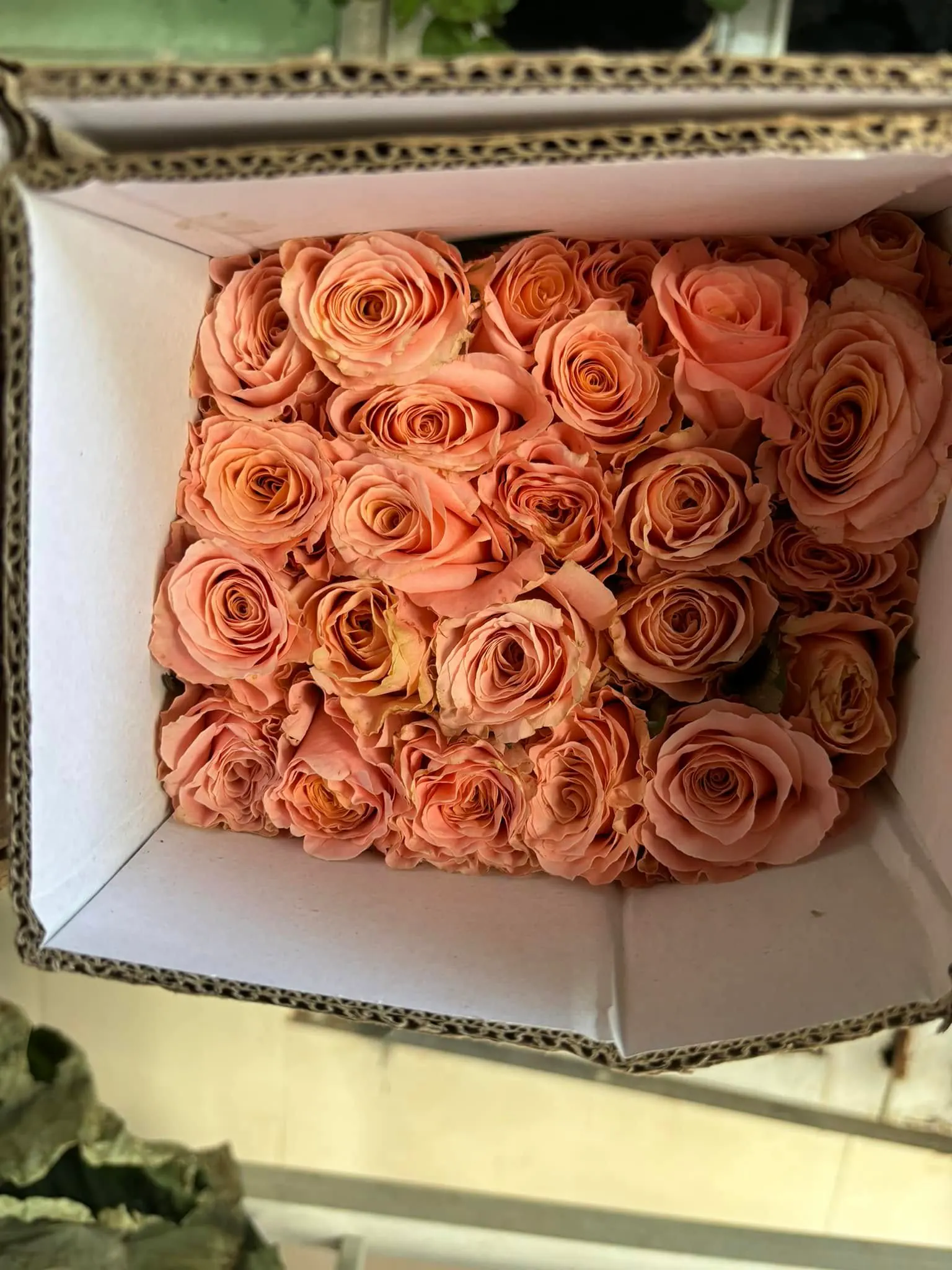 Ảnh 7 của Bó Hoa Hình Trái Tim Hoa Baby - Valentine